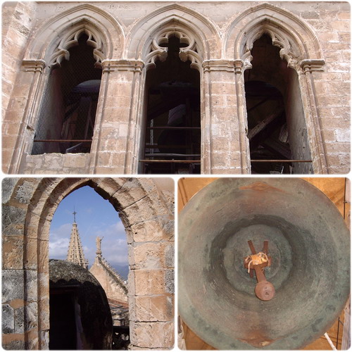 Catedral_ (1).jpg